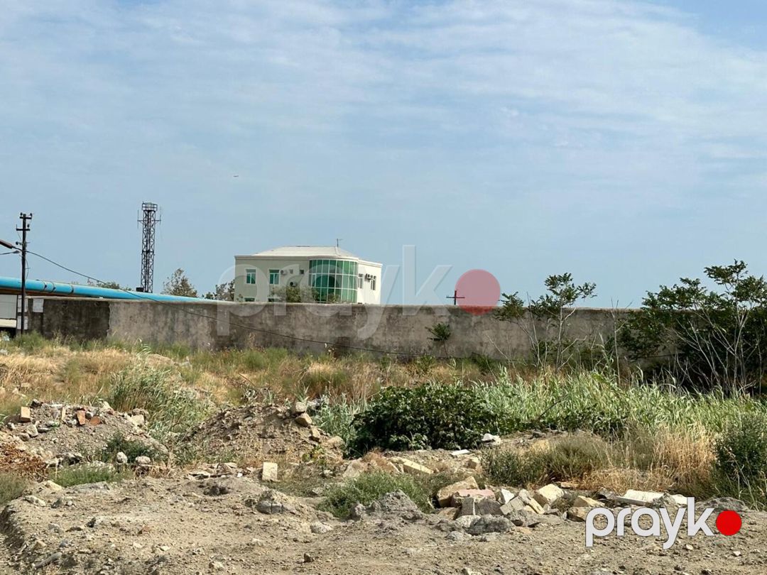 Satılır torpaq 33 sot — Torpaq, Bakı (8)