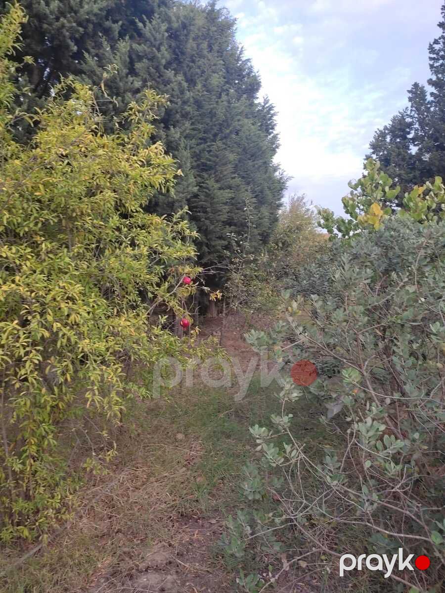 Satılır 4 otaqlı həyət evi/bağ evi 200 m² — Ev, villa, Bakı (10)