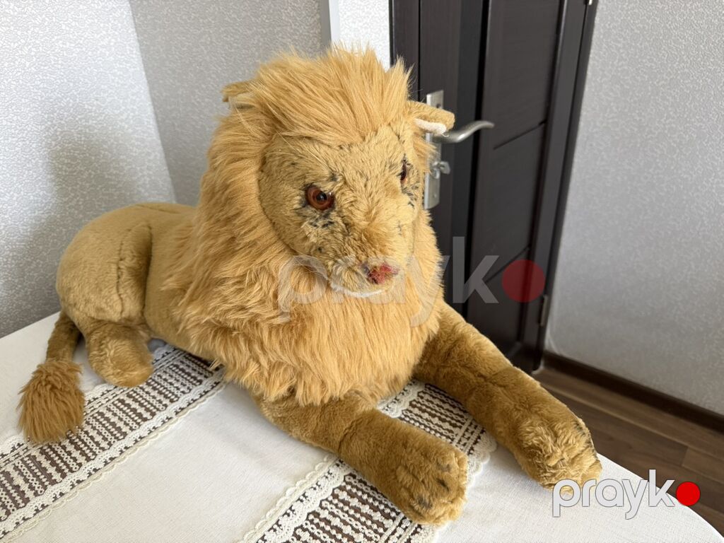 Plyuş aslan oyuncaq - Realistik dizayn: uzunsov y mane, detallı üz — Yumşaq oyuncaqlar, Digah (3)