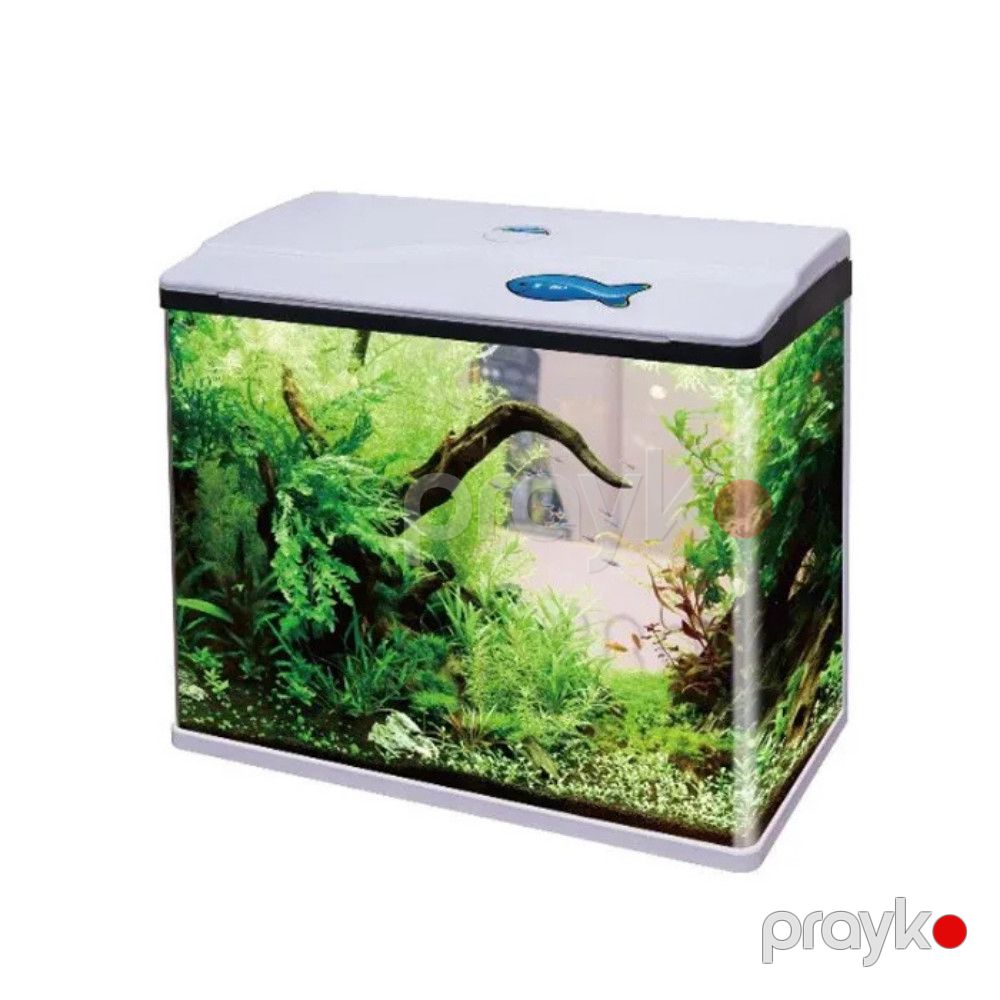 Akvarium düzbucaqlı ağ — Mallar, Bakı (2)
