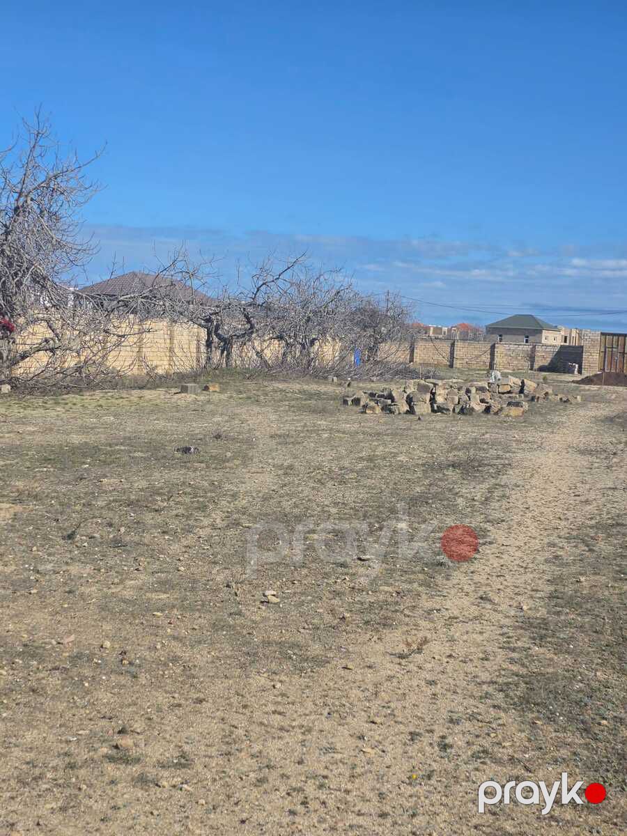 Satılır torpaq 24 sot — Torpaq, Bakı (10)