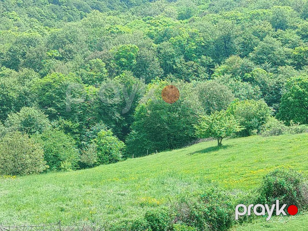 Satılır torpaq 7 sot — Torpaq, İsmayıllı (6)