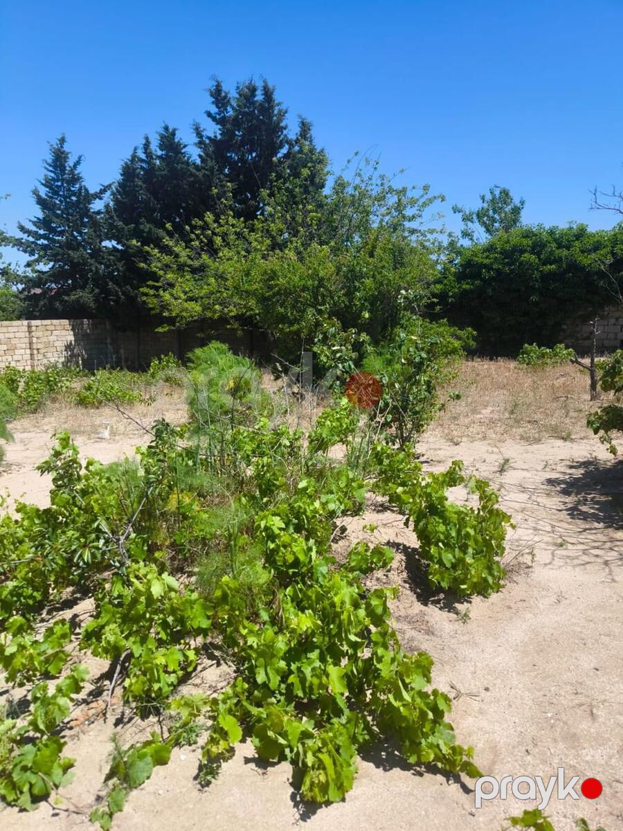 Satılır torpaq 5 sot — Torpaq, Bakı (4)