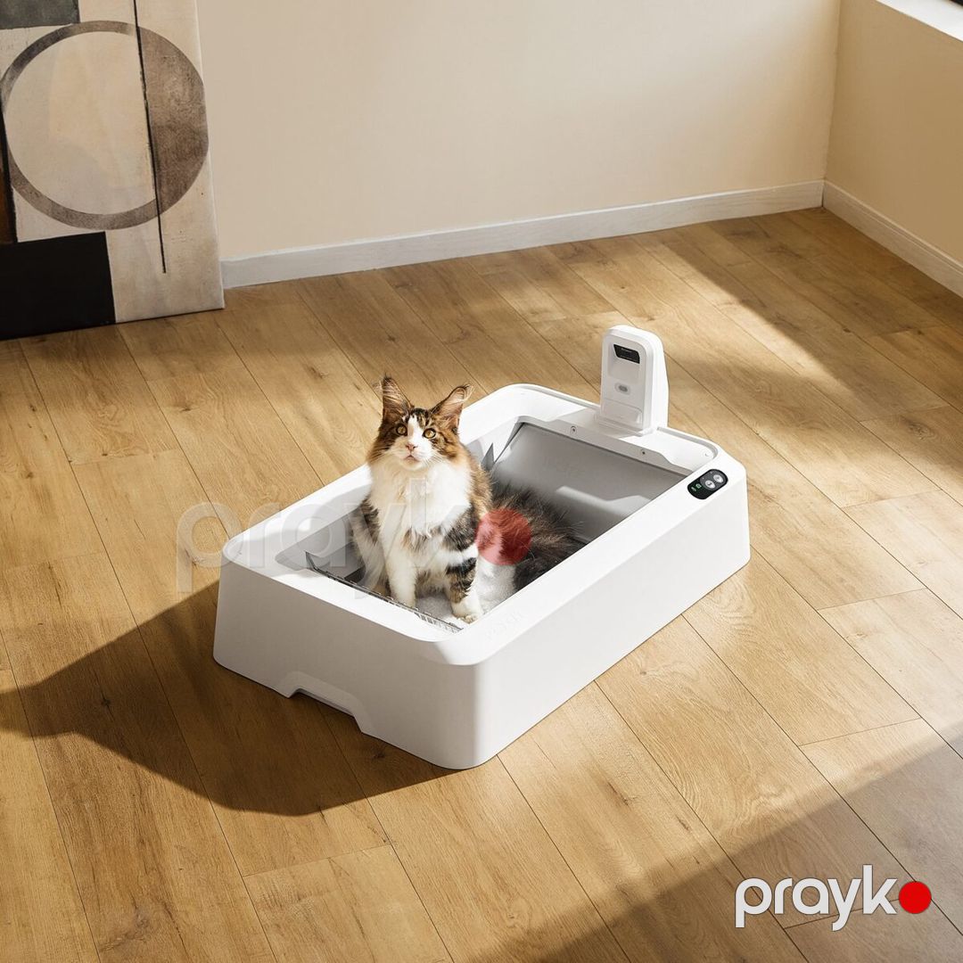 Petkit Purobot Crystal Duo With Camera (P9905) – Ağıllı Özünü Təmizləyən Pişik Tualeti — Heyvan malları, Bakı (3)