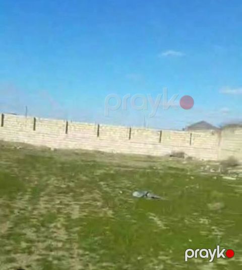 6 sot torpaq sahəsi, Lənkəran ş — Lənkəran