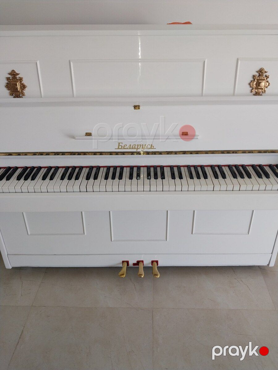 Piano — Musiqiə alətləri, Bakı (5)