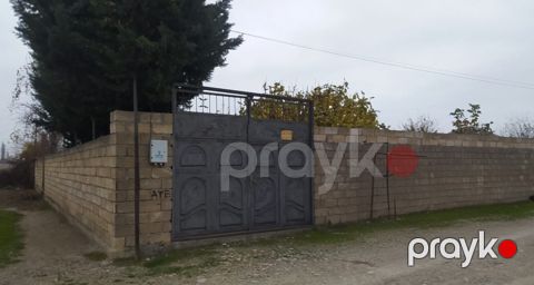 Satılır torpaq 10 sot — Şabran