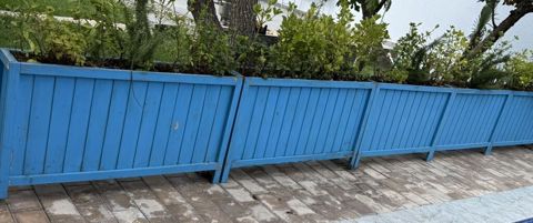Məhsul: Açıq məkana uyğun taxta çiçək/qazon yeşikləri (mavi rəngdə) — Masazır