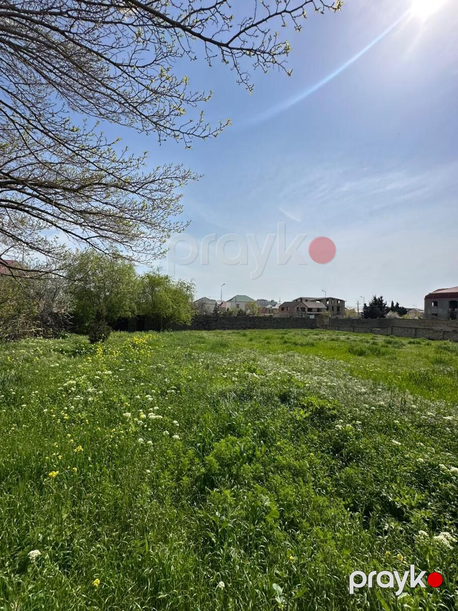 Satılır torpaq 33 sot — Torpaq, Bakı (6)