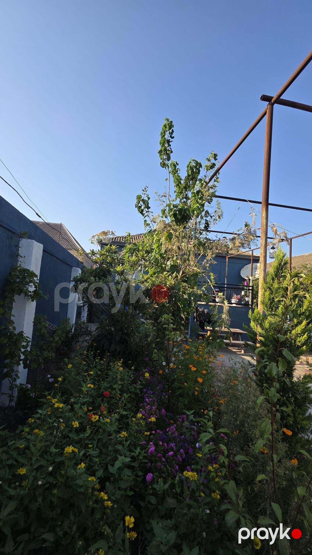 5 otaqlı, 145 kv. m, Kredit yoxdur, Yeni təmirli — Ev, villa, Digah (3)
