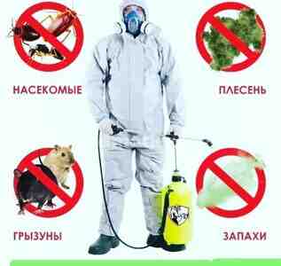 Profilaktik Dezinfeksiya — Dezinfeksiya, dezinseksiya, Bakı (4)