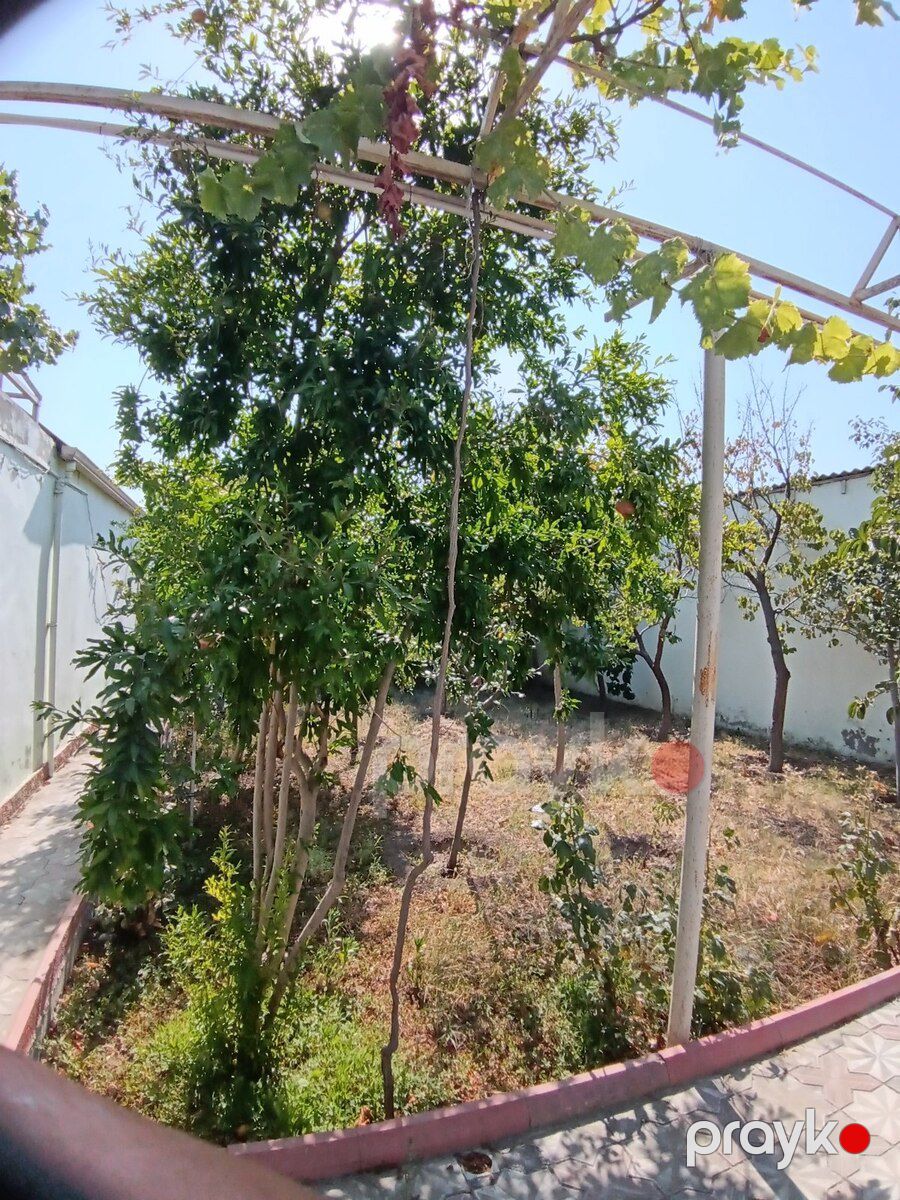 Həyət evi, Binə qəs — Ev, villa, Bakı (4)