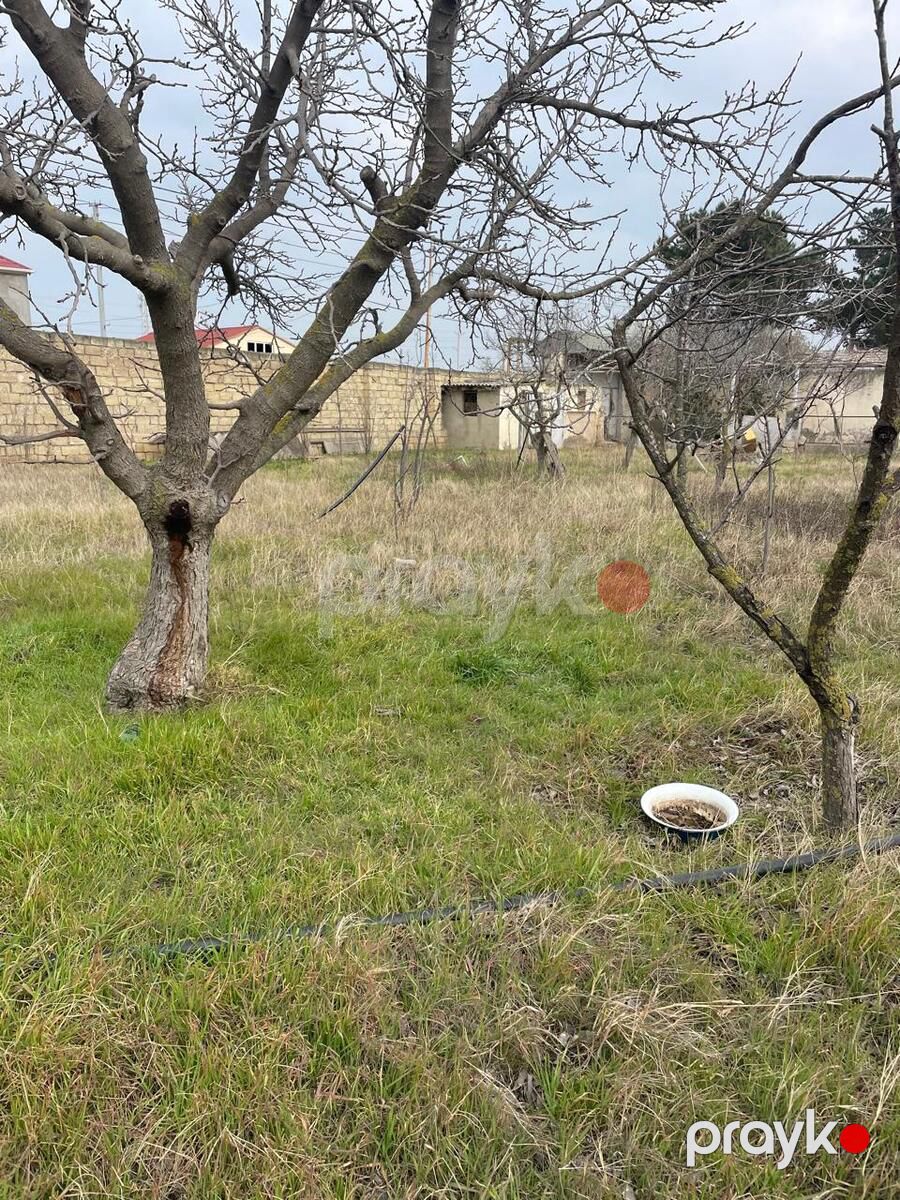Satılır 5 otaqlı həyət evi/bağ evi 200 m² — Ev, villa, Bakı (3)