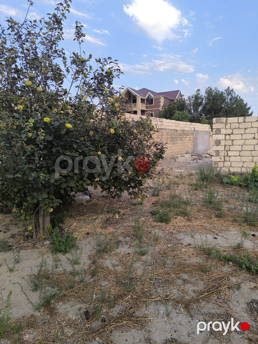 Satılır torpaq 4 sot — Torpaq, Bakı (4)