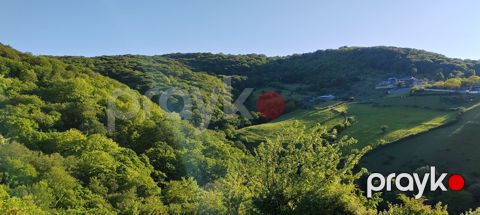 Satılır torpaq 7 sot — İsmayıllı