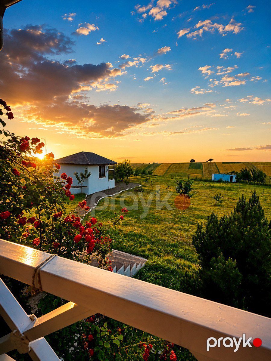 İcarəyə verilir 4 otaqlı həyət evi/bağ evi 300 m² — Ev, villa, Qusar (7)