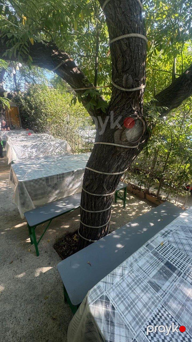 Satılır obyekt 60 m² — Əmlak, Bakı (9)