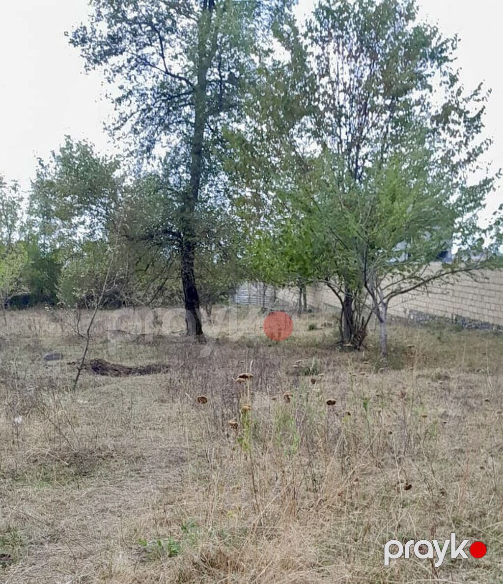 26 sot, Biznes üçün, Mülkiyyətçi, Kupça (Çıxarış) — Torpaq, Qəbələ (2)
