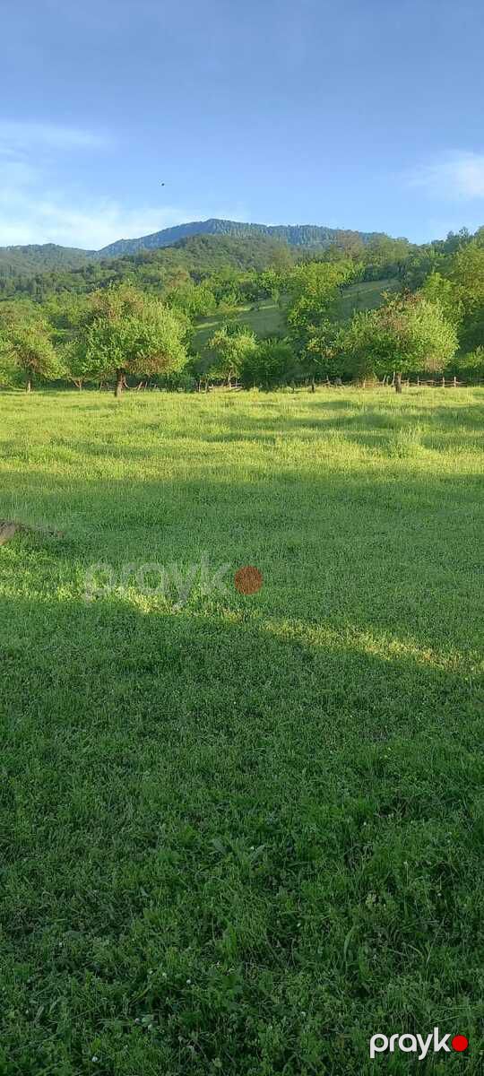 14 sot torpaq sahəsi, Quba r — Torpaq, Quba (9)