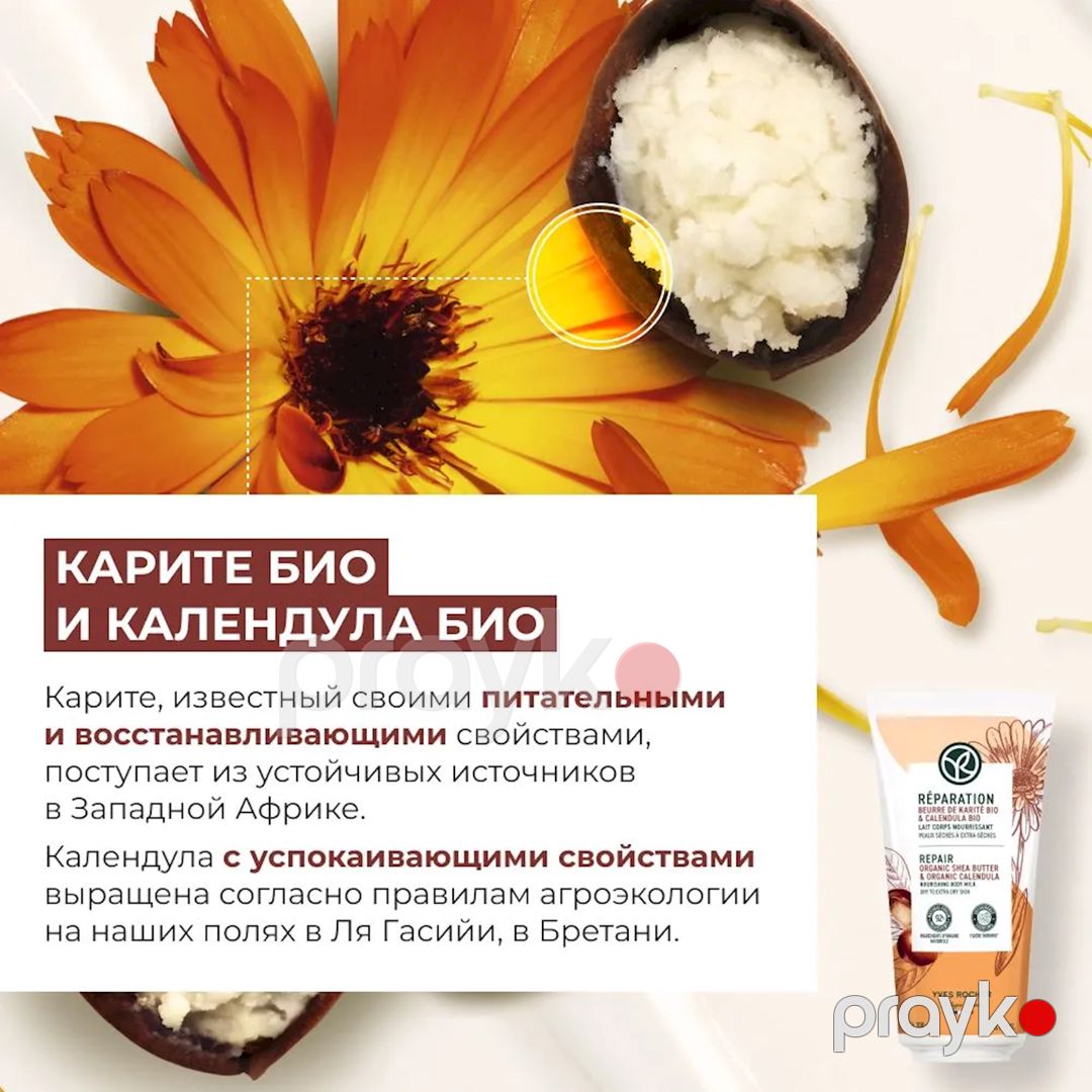 Süd bədən üçün Yves Rocher Reparation, 200 ml — Mallar, Bakı (3)
