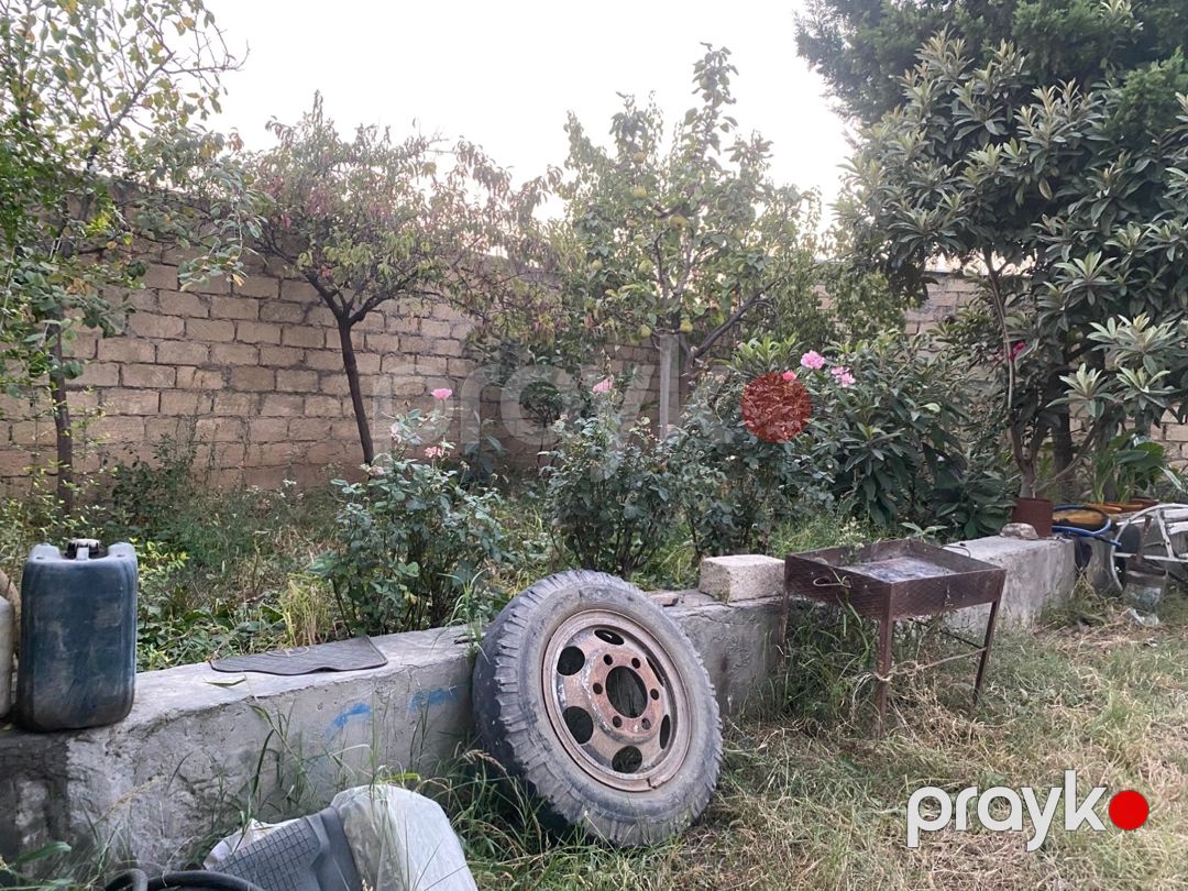 Həyət evi, Gəncə ş — Ev, villa, Gəncə (8)