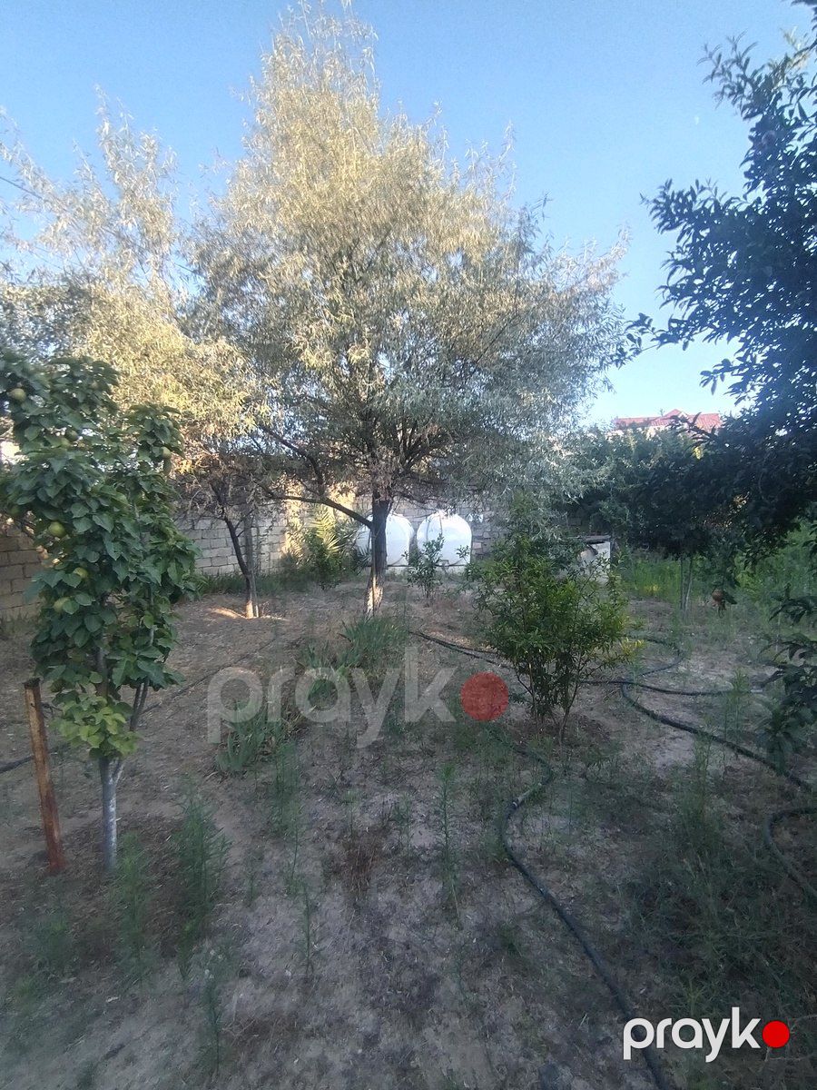 Satılır torpaq 6 sot — Torpaq, Bakı (5)