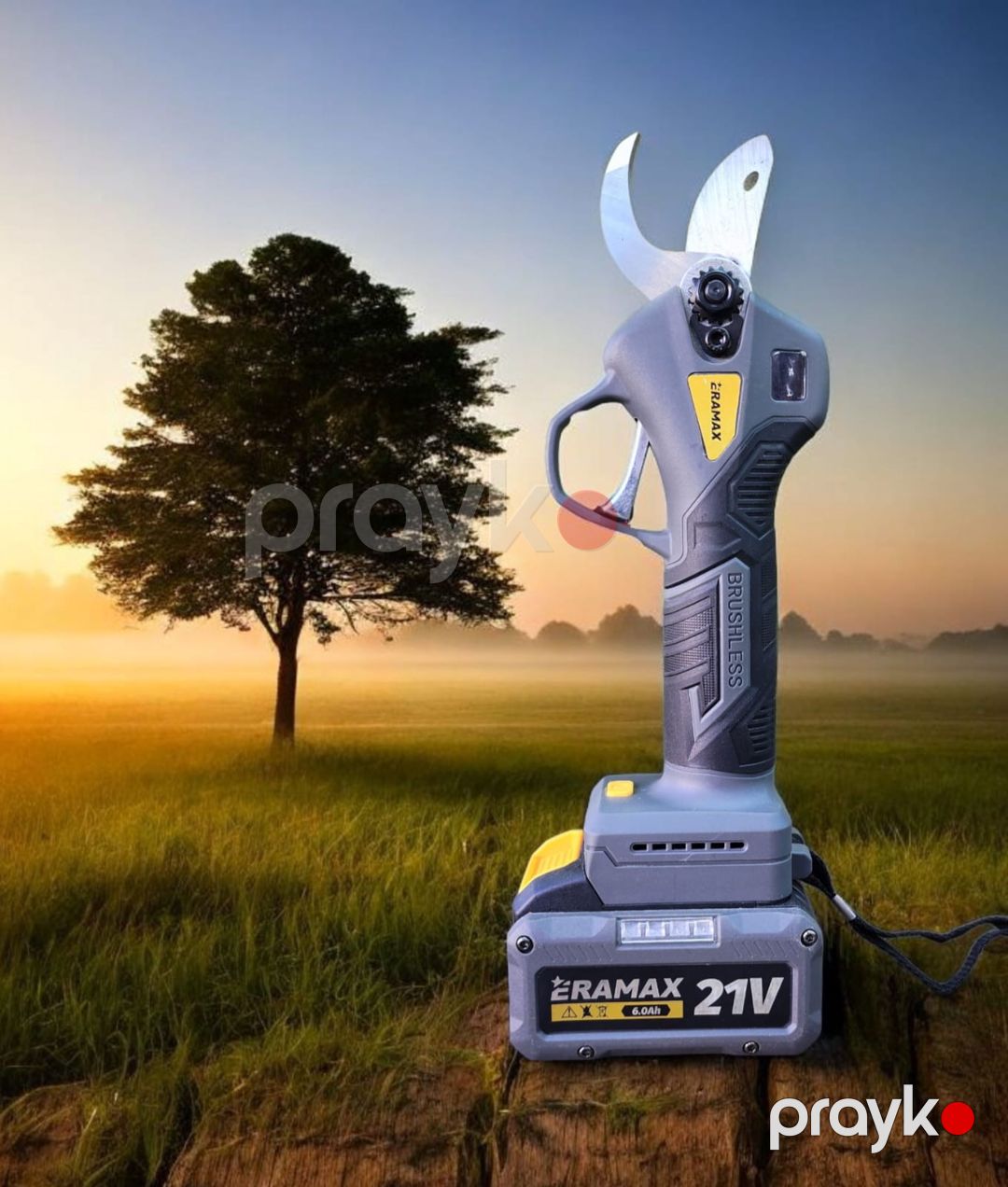 Bağ qayçısı EraMax 88VF — Mallar, Bakı (2)