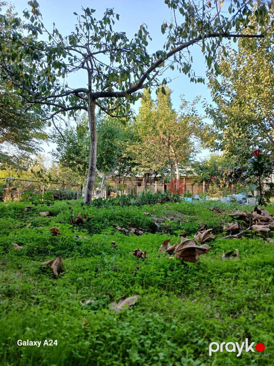 Satılır 7 otaqlı həyət evi/bağ evi 200 m² — Ev, villa, Bakı (8)