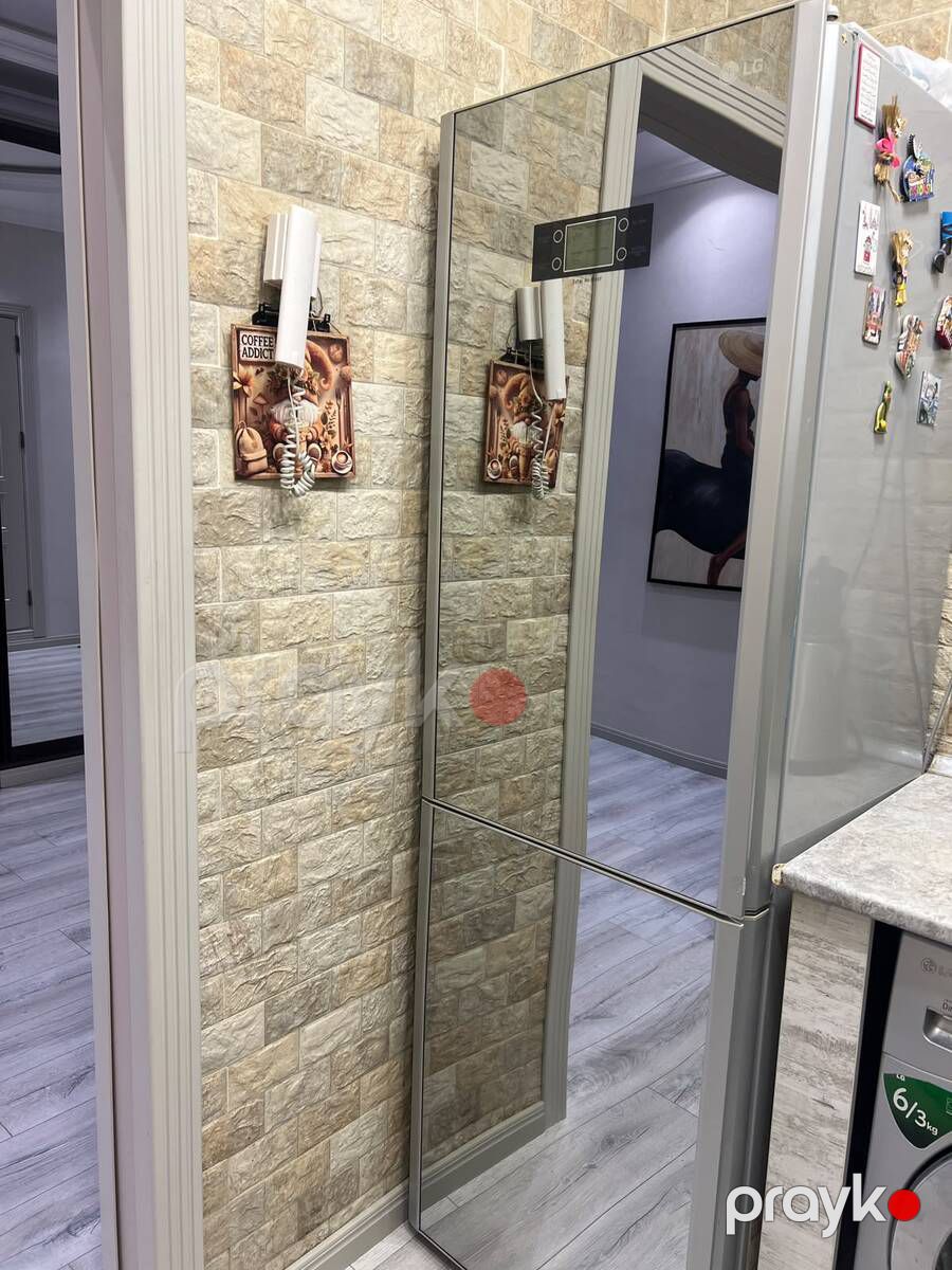LG Güzgülü Total No Frost Soyuducu — Ev texnikası, Bakı (2)