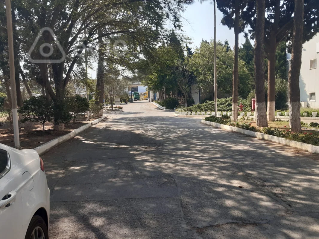 Obyekt, 3900 m², пос Гокмели — kirayə — Əmlak, Bakı (2)