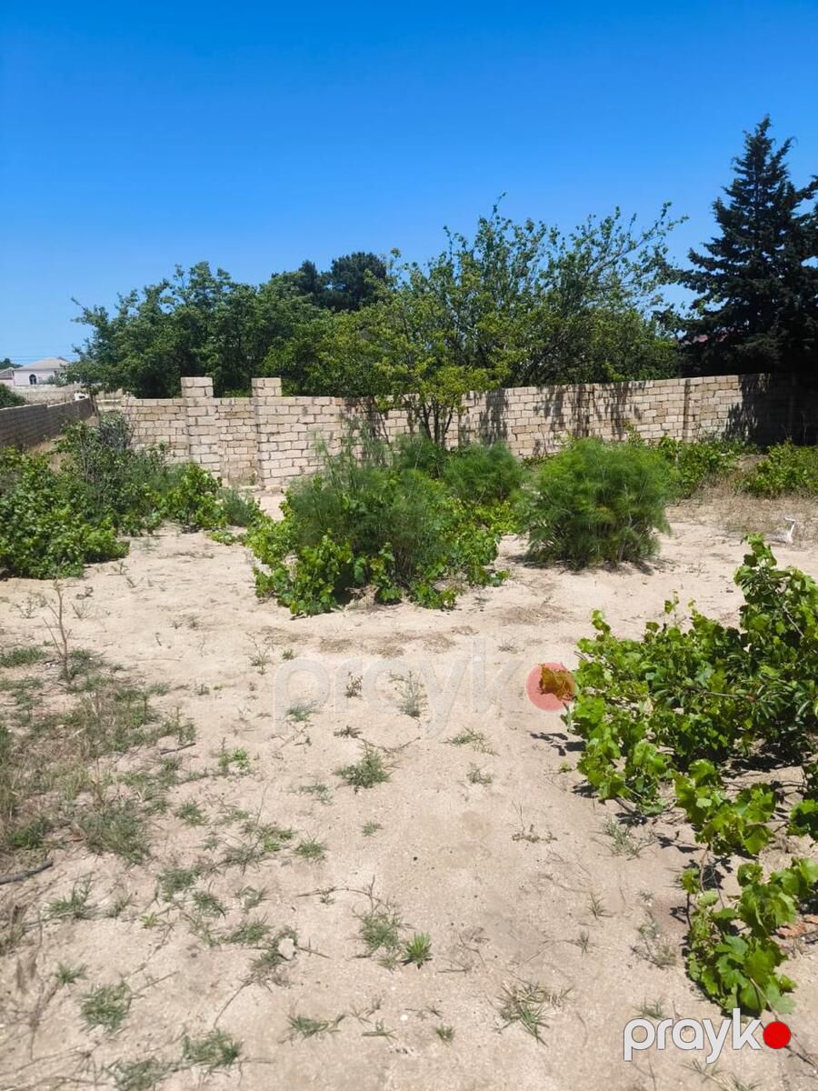 Satılır torpaq 5 sot — Torpaq, Bakı (5)