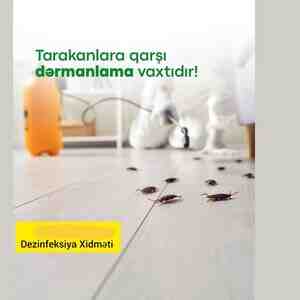 Profilaktik Dezinfeksiya — Dezinfeksiya, dezinseksiya, Bakı (3)