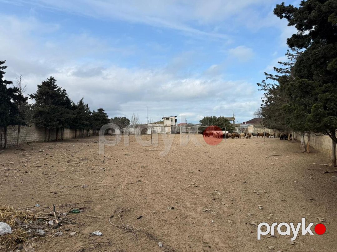 Satılır 4 otaqlı həyət evi/bağ evi 120 m² — Ev, villa, Bakı (9)