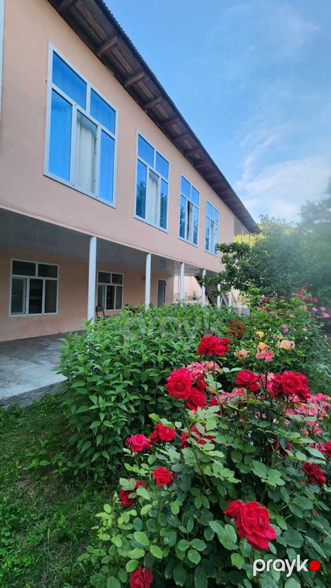 Villa kirayə verilir, Şəki r — Şəki