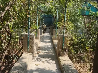 Satılır həyət evi, Sulutəpə qəs — Ev, villa (8)