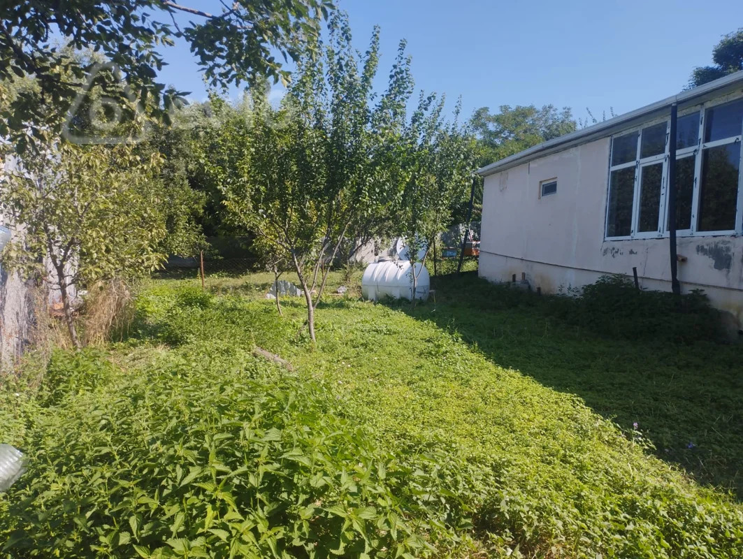 2 otaqlı həyət evi, 36 m², Bizlan kəndi, İsmayıllı — Ev, villa, İsmayıllı (2)