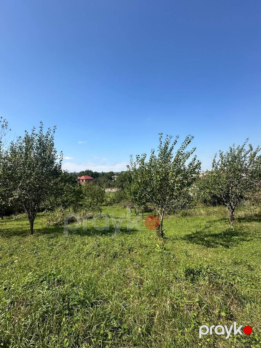 Satılır torpaq 20 sot — Torpaq, Quba (8)