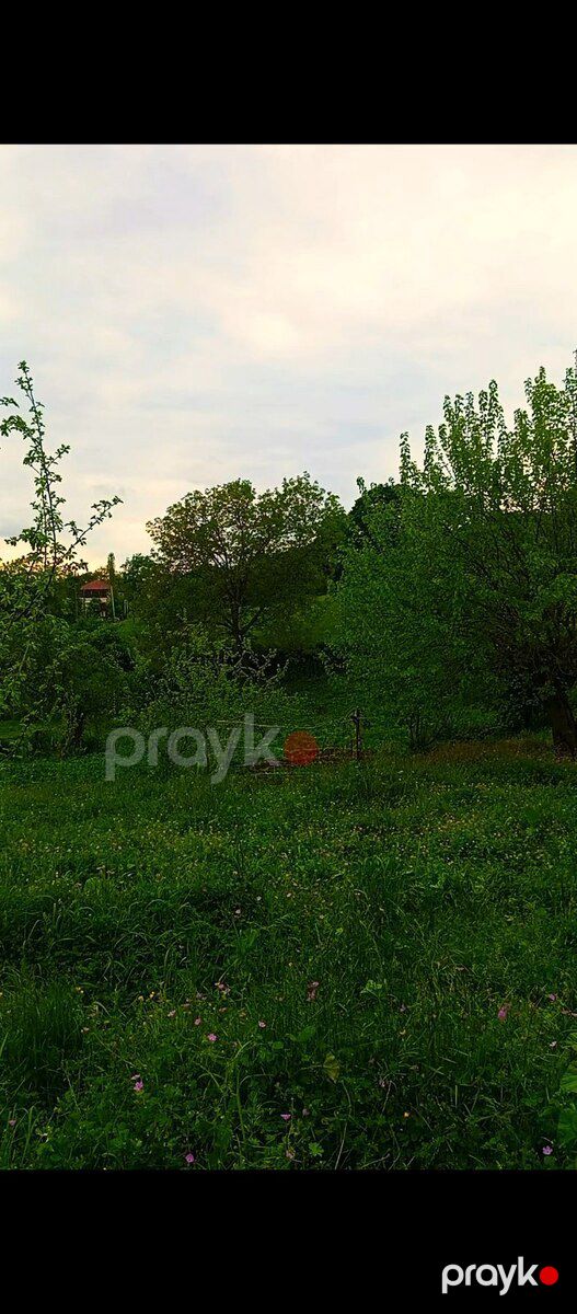 Həyət evi, İsmayıllı r — Ev, villa, İsmayıllı (4)