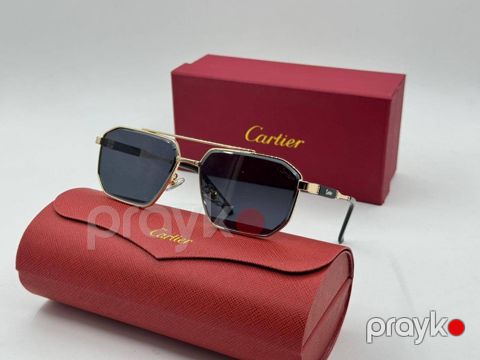 Kişilər üçün gün eynəyi TCS_2683, qızılı/qara — Bakı