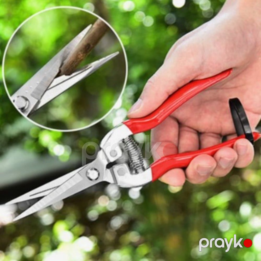 Bağban qayçısı, paslanmayan polad, qırmızı qulplu, professional bypass budama - prm_027 — Mallar, Bakı (3)