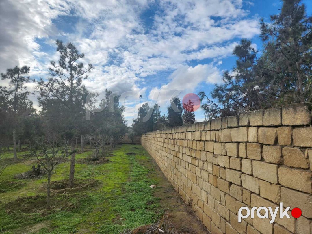 Satılır torpaq 12 sot — Torpaq, Xırdalan (5)
