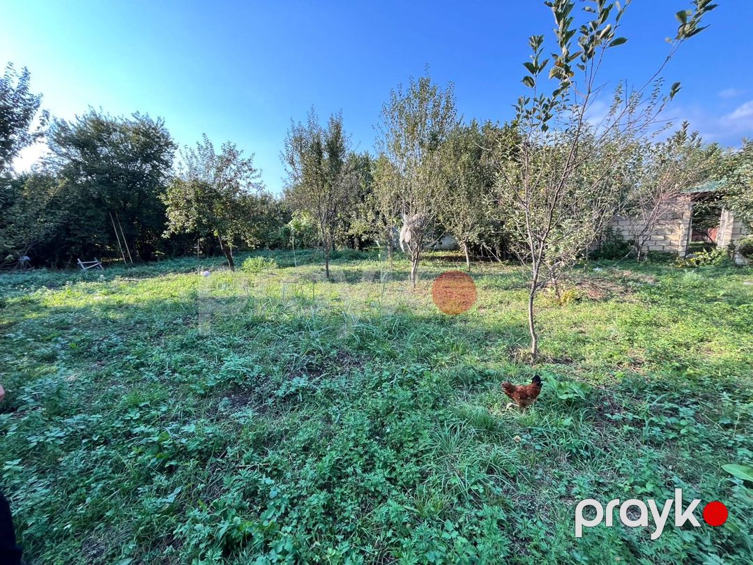 Satılır torpaq 12 sot — Torpaq, Qəbələ (7)