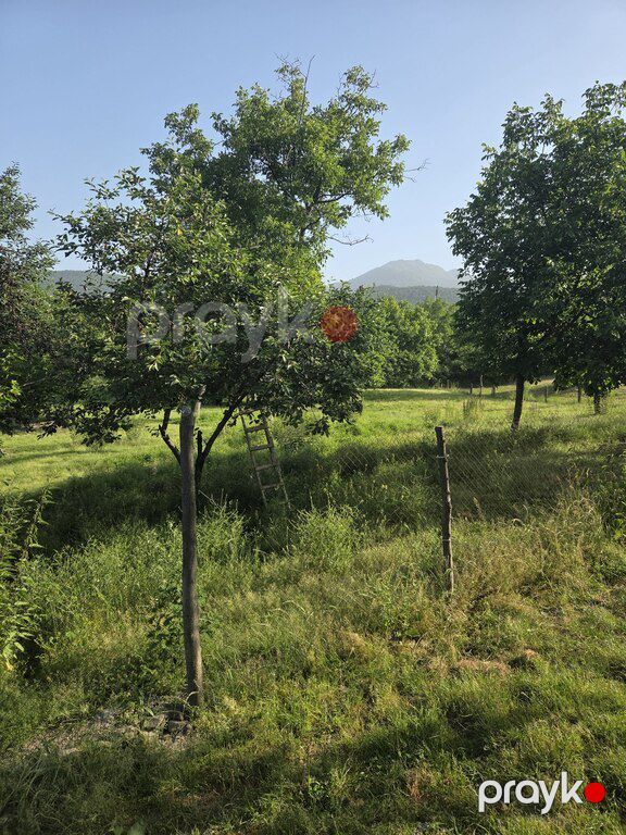 64 sot torpaq sahəsi, Qəbələ ş — Torpaq, Qəbələ (11)