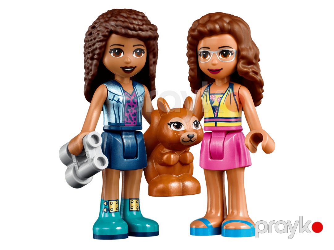 Konstruktor Lego Friends Forest Waterfall 41677 — Mallar, Bakı (3)