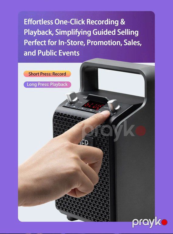 Portativ karaoke bluetooth dinamiki "Edifier PP205" — Səs texnikası, Bakı (4)