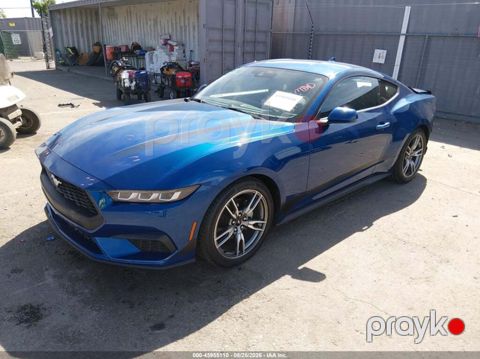 Ford Mustang, 2.3 L, 2024 il, 13 358 km