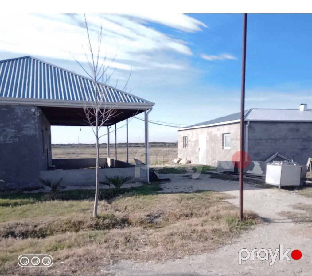 İstehsalat, 1000 m², Yeni Uluxanlı kəndi, Salyan — Daşınmaz əmlak, Salyan (6)