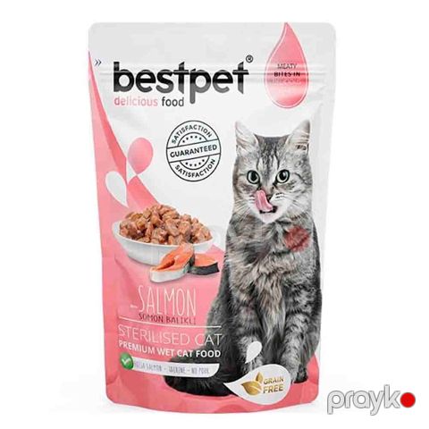 Qısırlaşdırılmış pişiklər üçün nəm yem Bestpet, qızılbalıq ilə, 85 q — Bakı