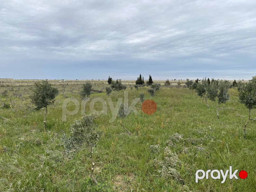 Satılır torpaq 30 sot — Torpaq, Bakı (2)