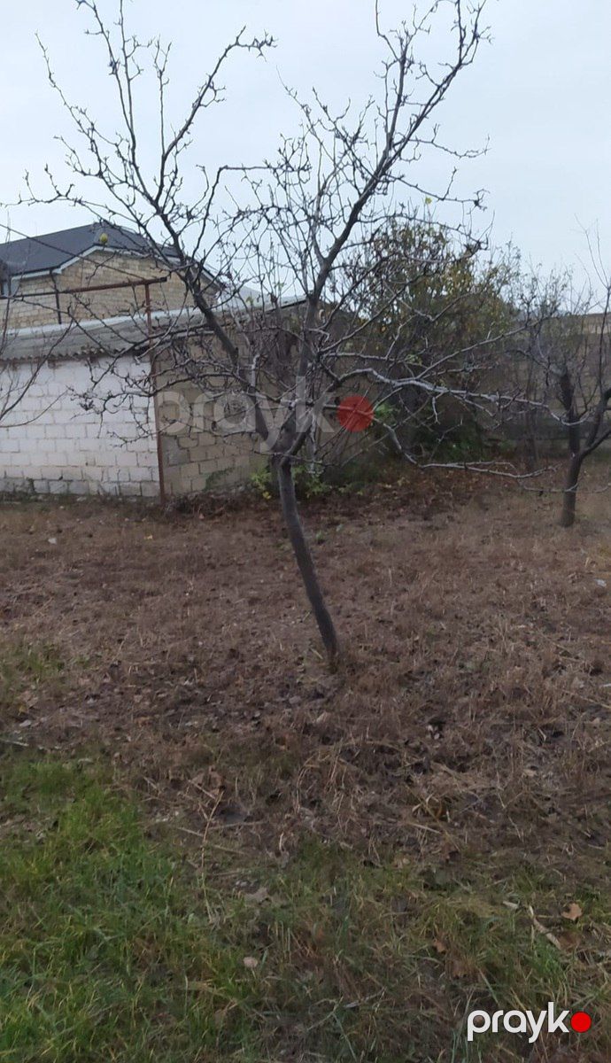 Satılır torpaq 10 sot — Torpaq, Şabran (5)